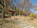 Szelídgesztenye-liget - Homoródkarácsonyfalva Gesztenyés ősszel Homoródkarácsonyfalva szelídgesztenye